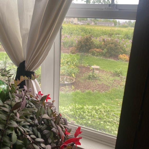 Meet your Posher, Hailey - Picture 1 of 1